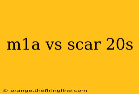 m1a vs scar 20s