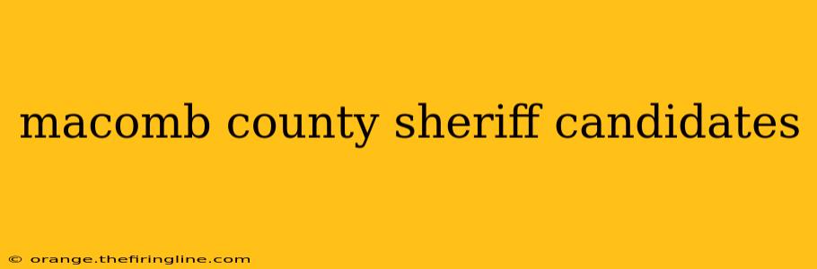 macomb county sheriff candidates