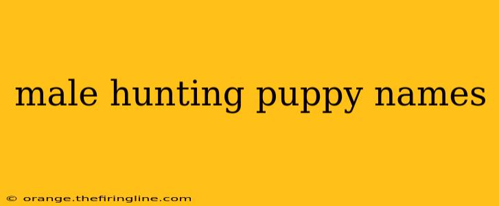 male hunting puppy names