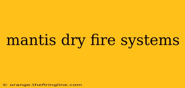 mantis dry fire systems