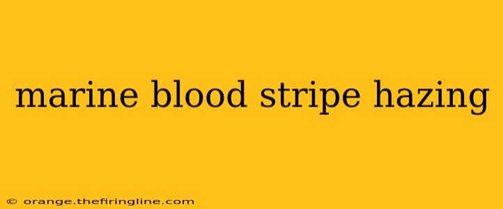 marine blood stripe hazing