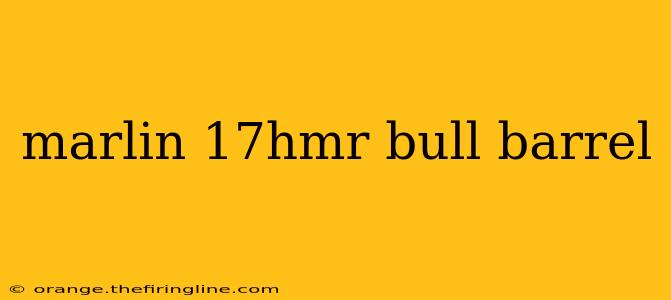 marlin 17hmr bull barrel