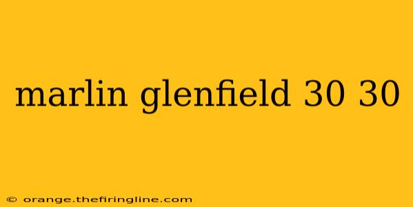 marlin glenfield 30 30