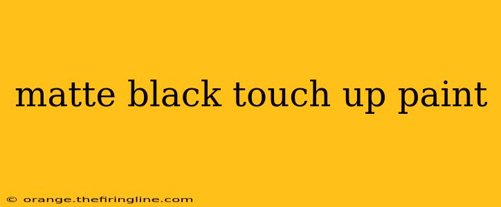 matte black touch up paint