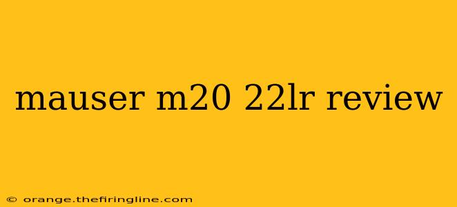 mauser m20 22lr review