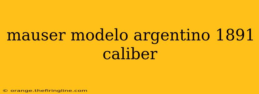 mauser modelo argentino 1891 caliber