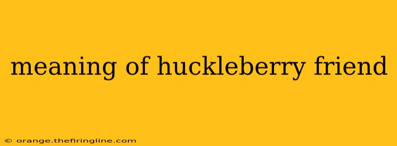 meaning of huckleberry friend