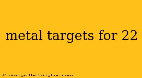 metal targets for 22