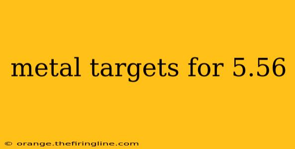 metal targets for 5.56