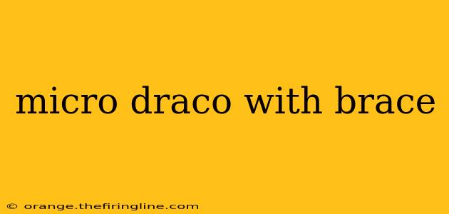 micro draco with brace