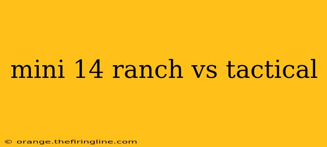 mini 14 ranch vs tactical