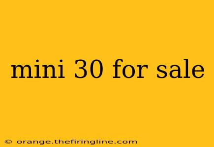 mini 30 for sale