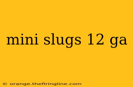 mini slugs 12 ga