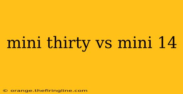 mini thirty vs mini 14