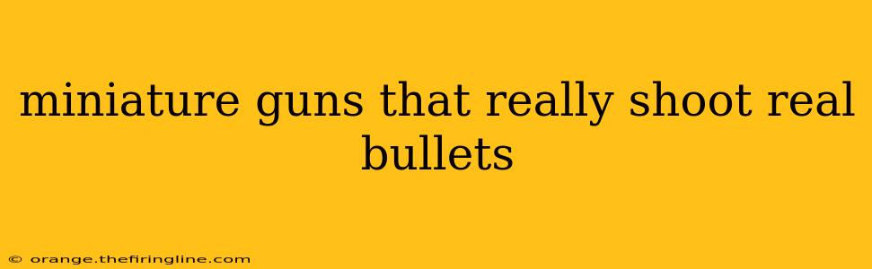 miniature guns that really shoot real bullets