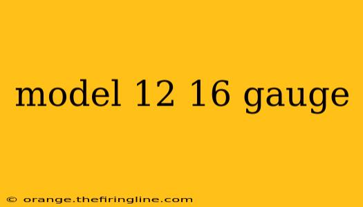 model 12 16 gauge