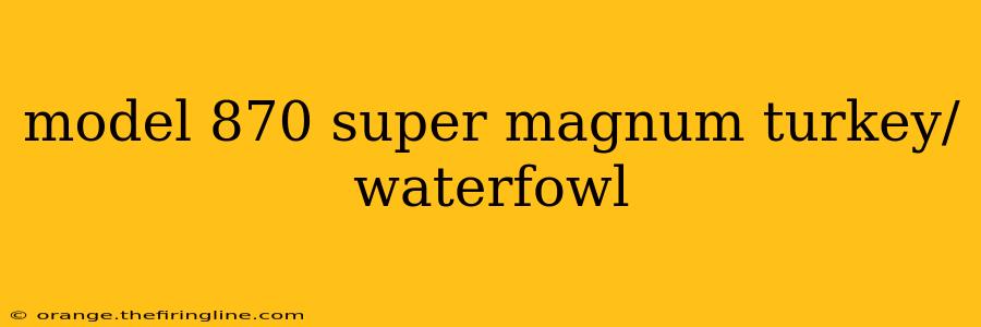 model 870 super magnum turkey/waterfowl