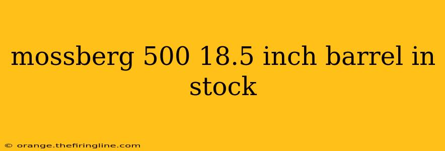 mossberg 500 18.5 inch barrel in stock