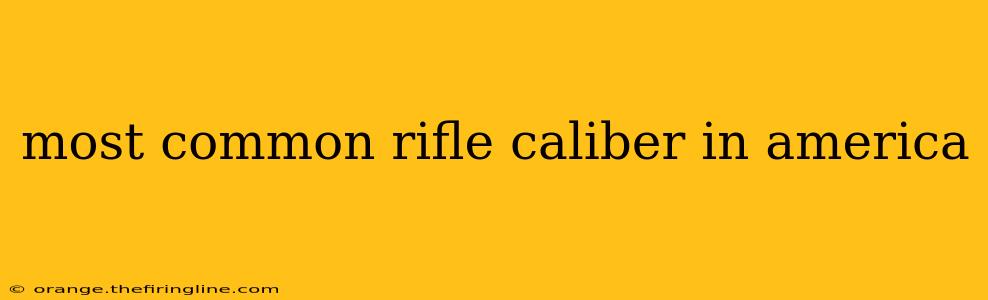 most common rifle caliber in america