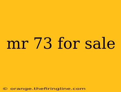 mr 73 for sale