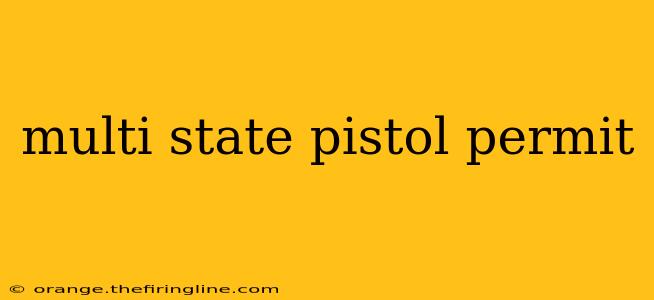 multi state pistol permit