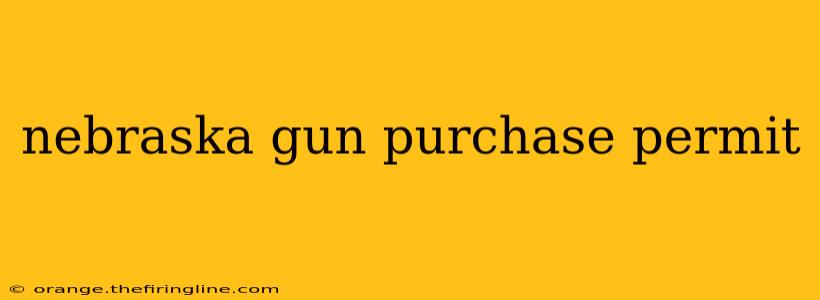 nebraska gun purchase permit