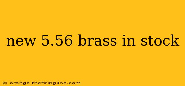 new 5.56 brass in stock