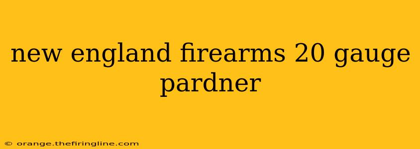 new england firearms 20 gauge pardner