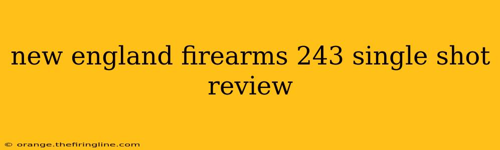 new england firearms 243 single shot review