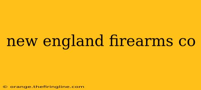 new england firearms co