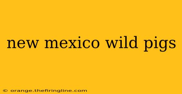 new mexico wild pigs