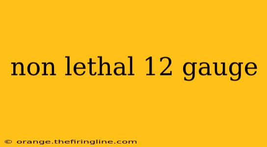 non lethal 12 gauge