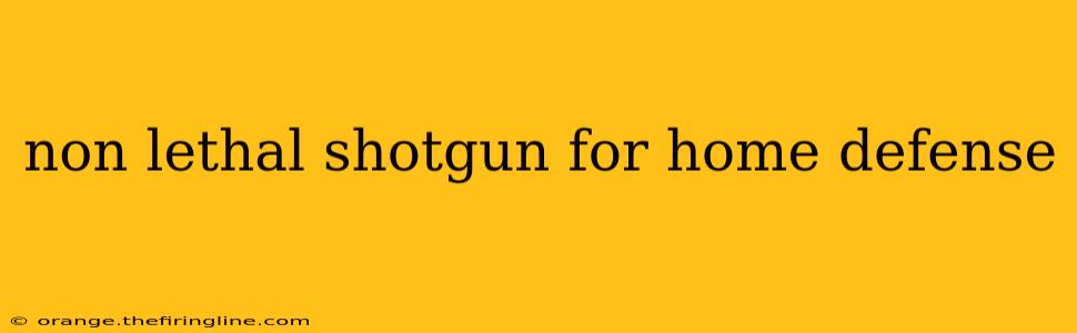 non lethal shotgun for home defense