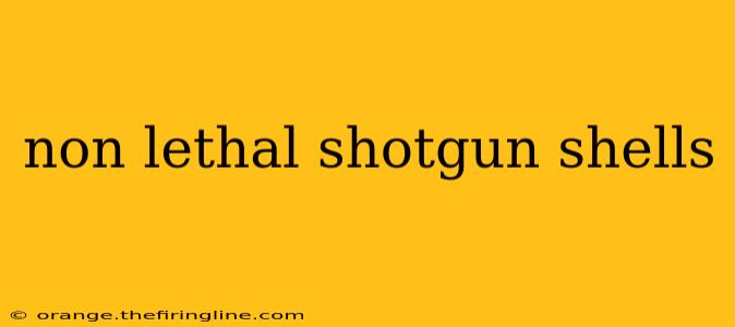 non lethal shotgun shells