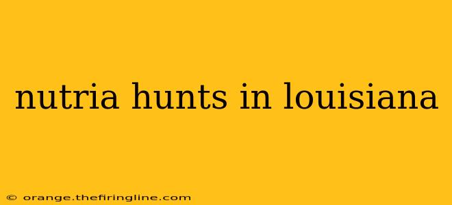 nutria hunts in louisiana