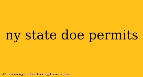 ny state doe permits