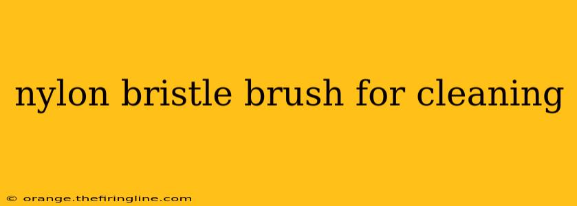 nylon bristle brush for cleaning