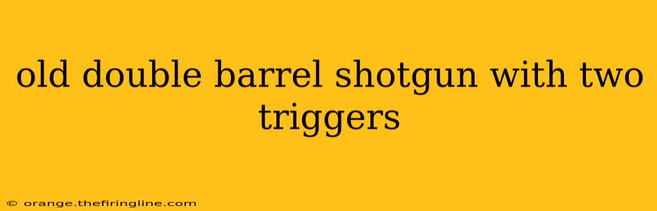 old double barrel shotgun with two triggers