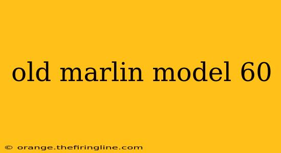 old marlin model 60