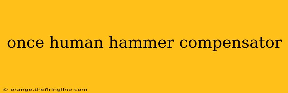 once human hammer compensator