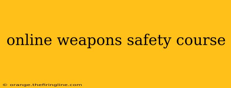 online weapons safety course