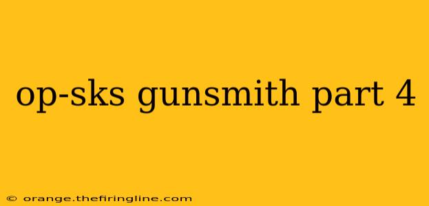 op-sks gunsmith part 4