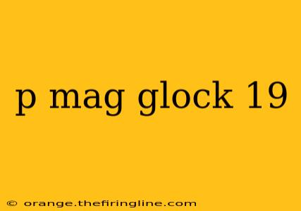 p mag glock 19