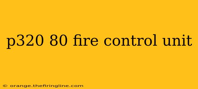 p320 80 fire control unit