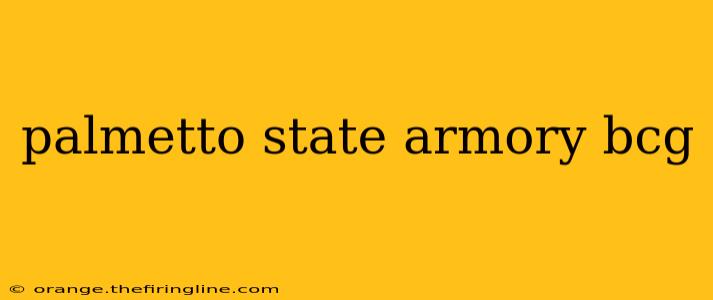 palmetto state armory bcg