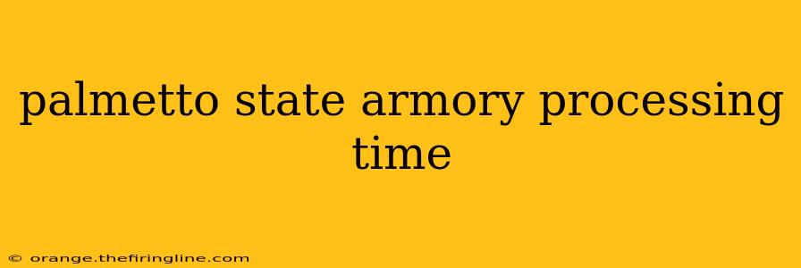 palmetto state armory processing time