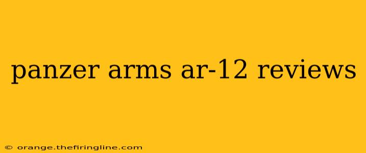 panzer arms ar-12 reviews