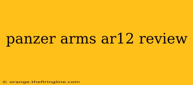 panzer arms ar12 review