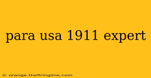 para usa 1911 expert