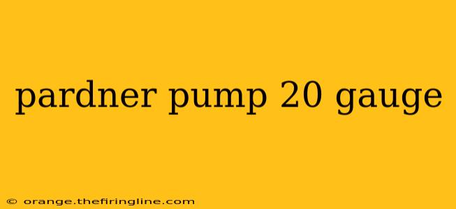 pardner pump 20 gauge